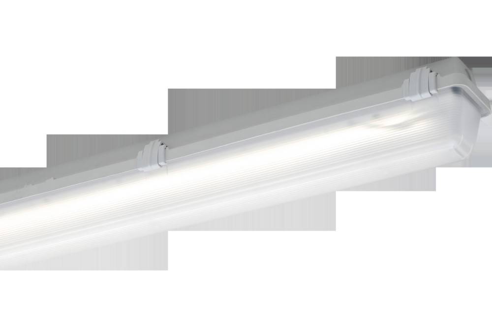 Schuch Licht LED-Feuchtraum-Notleuchte 161 12L22 ZB