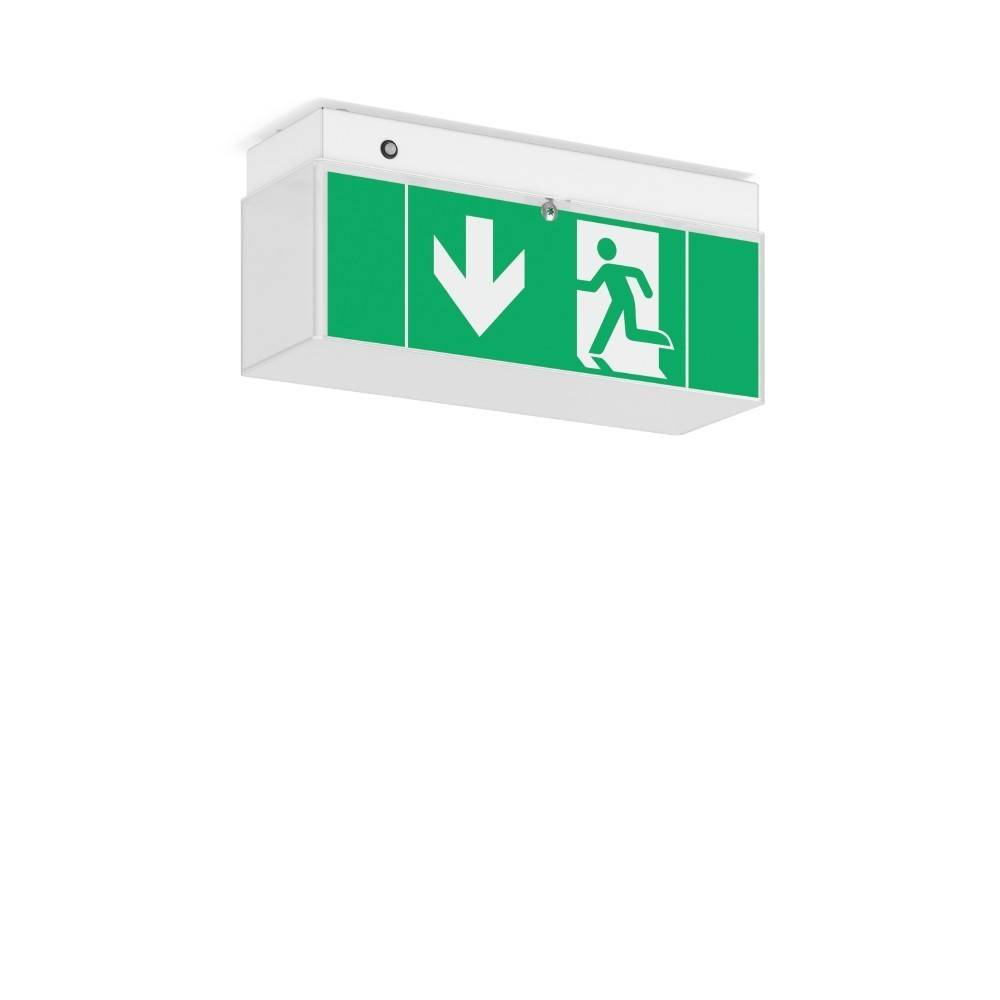 RZB LED-Notleuchte 672189.002.07