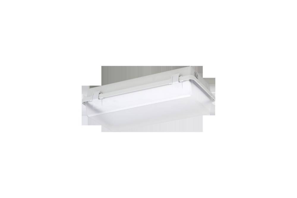 Schuch Licht LED-Feuchtraum-Notleuchte 164KL L08G2 ZB