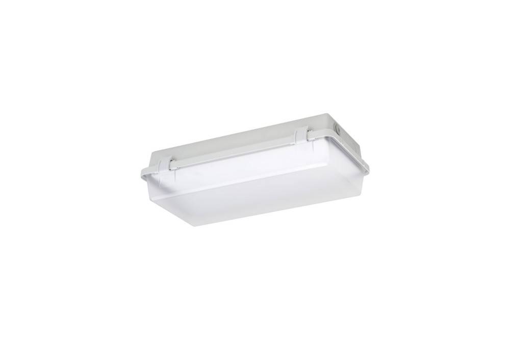 Schuch Licht LED-Feuchtraum-Notleuchte 164KL L08G2 ZB