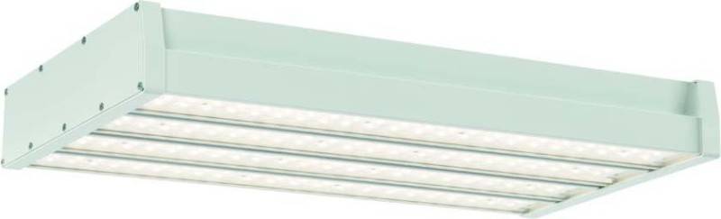 Ridi-Leuchten LED-Industrieleuchte HERO 3000-865 M-ND