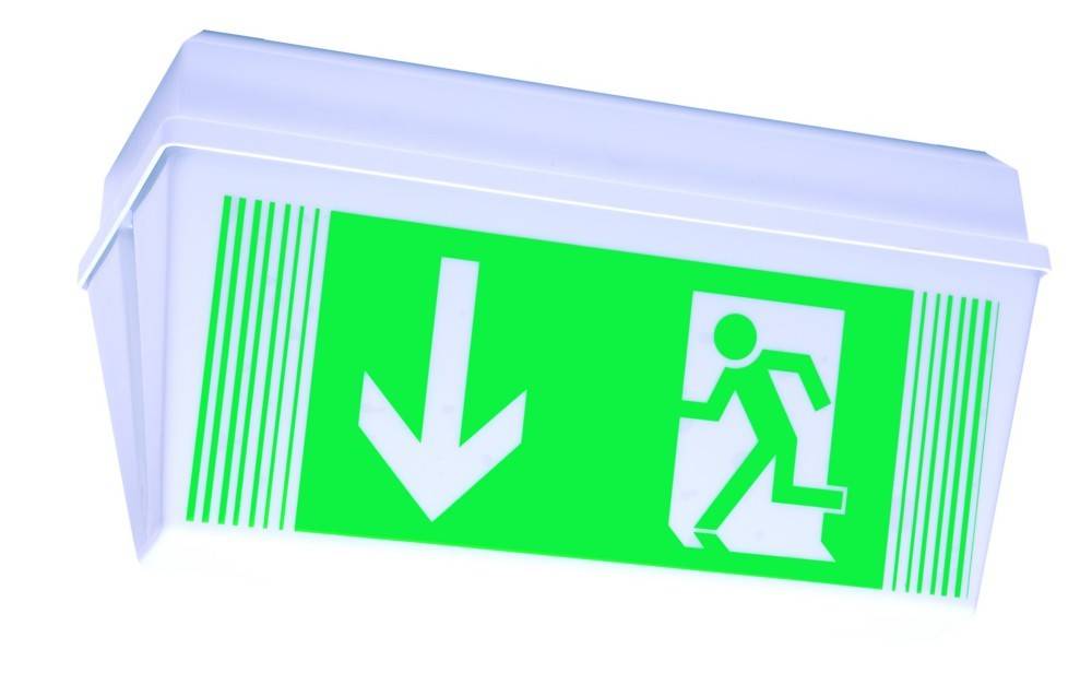 RP-Technik LED-Rettungszeichenleuchte PFD413SC