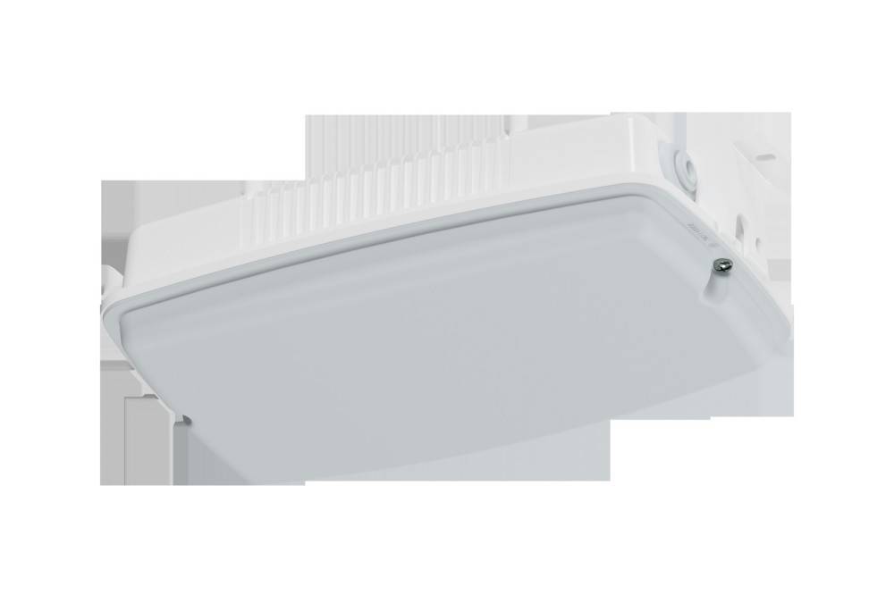 Schuch Licht LED-Notleuchte 3611 L02 W ZB