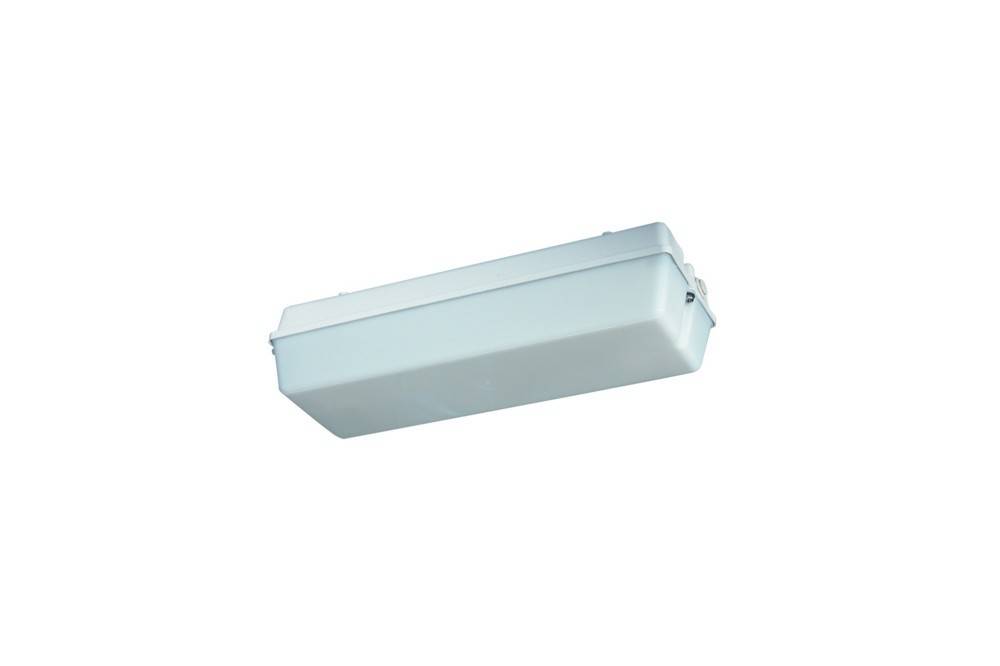 Schuch Licht LED-Notleuchte 131 L02 W ZB