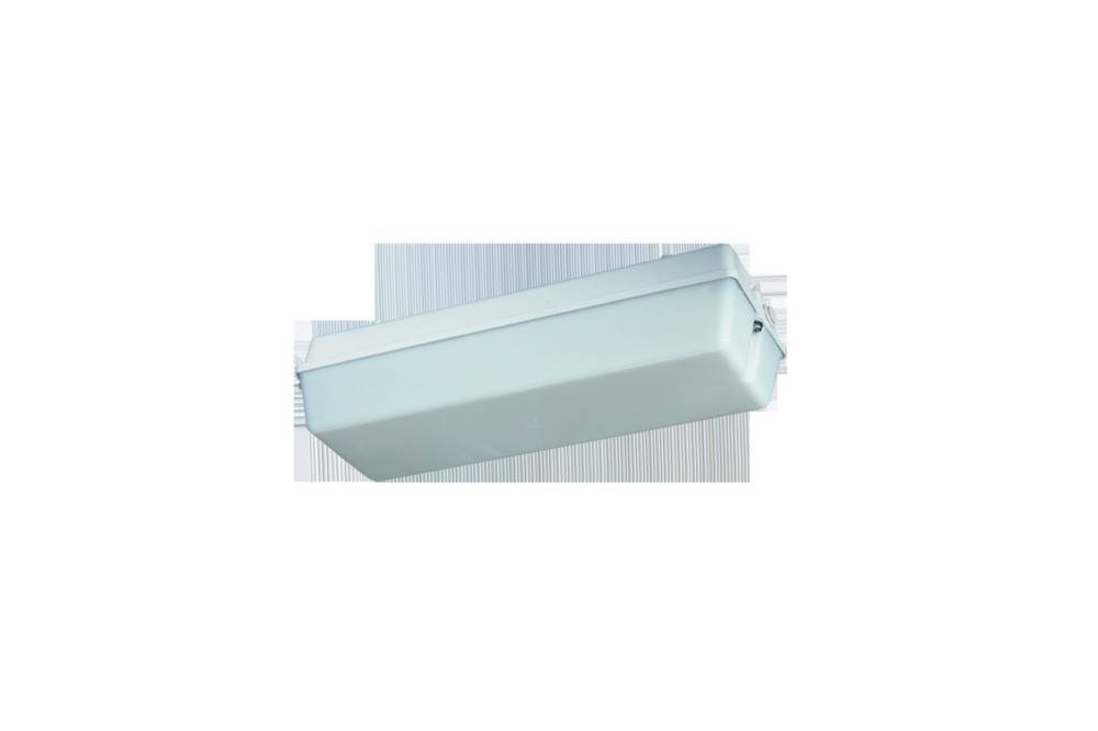Schuch Licht LED-Notleuchte 131 L02 W ZB