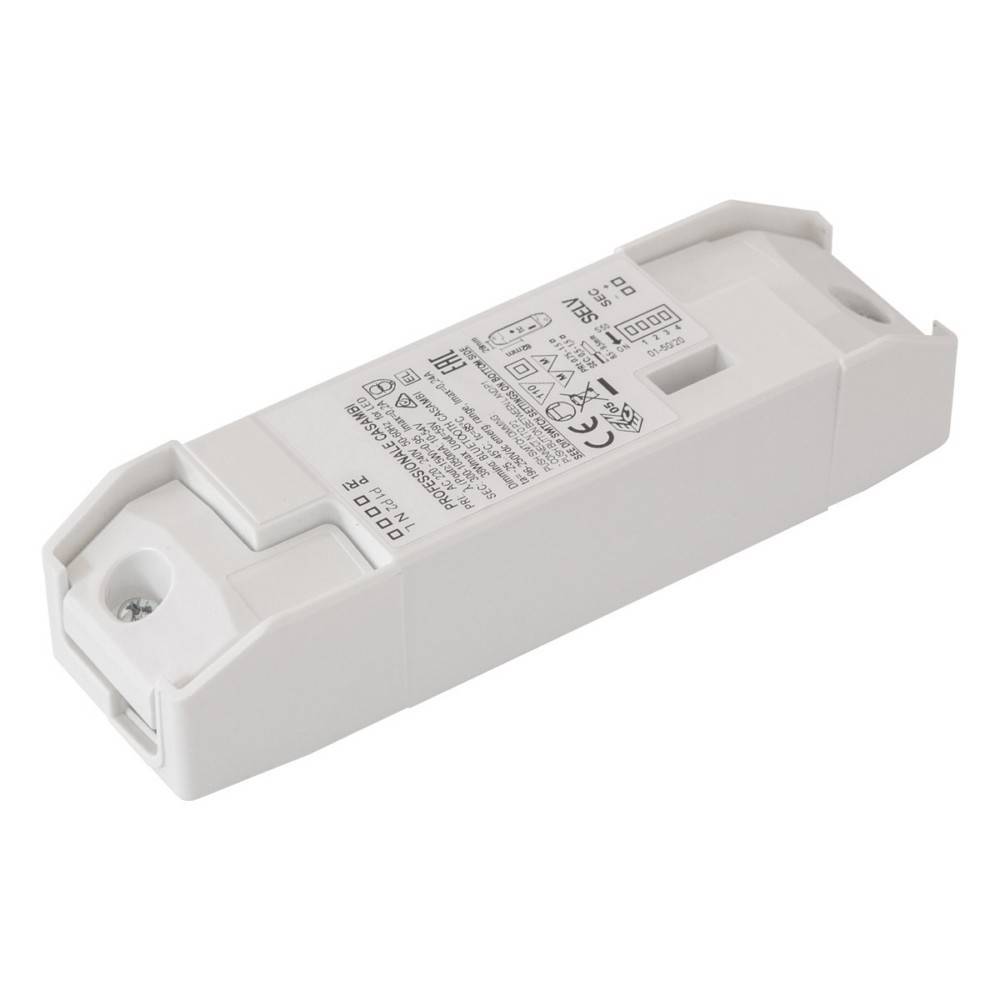 EVN Lichttechnik Casambi Dimmer-Empfänger CA30105VS