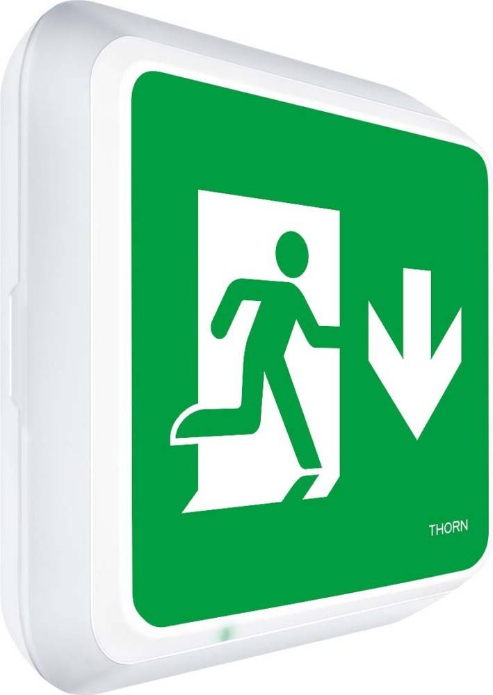 Thorn Rettungszeichenleuchte Voy Square #96635070
