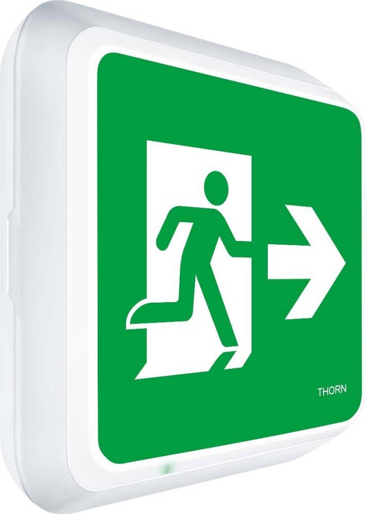 Thorn Rettungszeichenleuchte Voy Square #96635065
