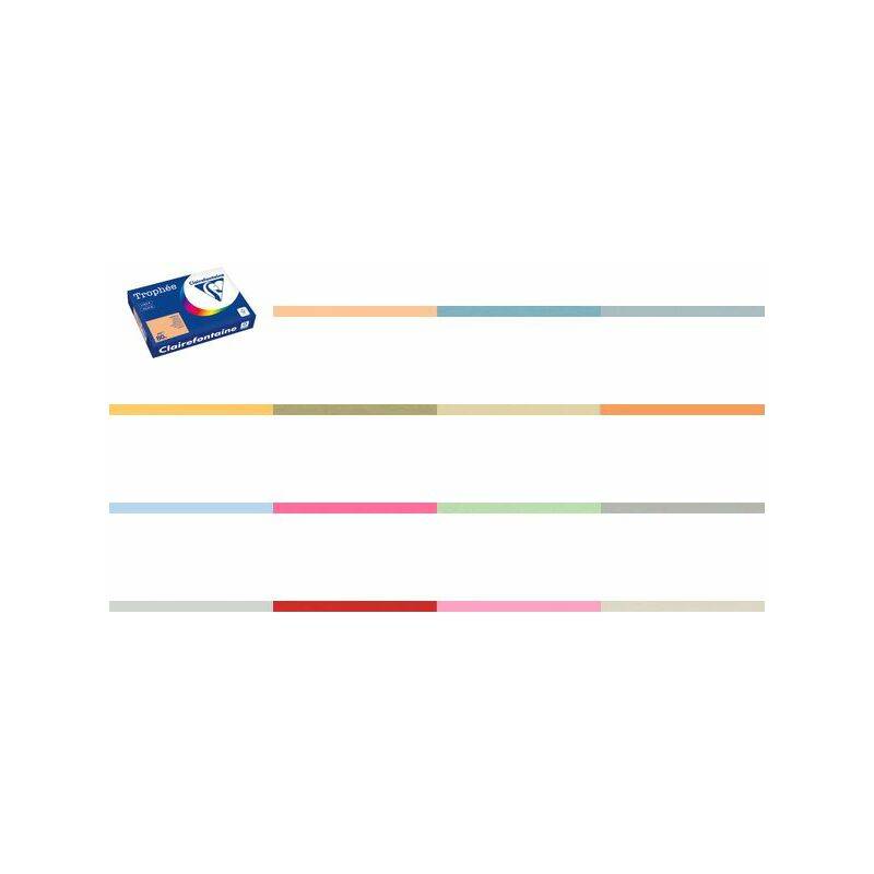 Clairefontaine Multifunktionspapier Trophée, A4, rosa