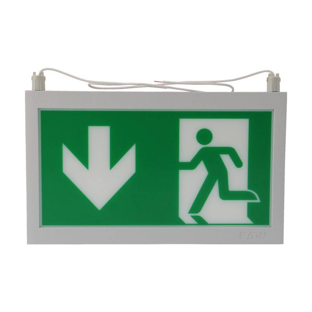 Ceag Notlichtsysteme Piktogrammscheibe 2-seitig 40071354507