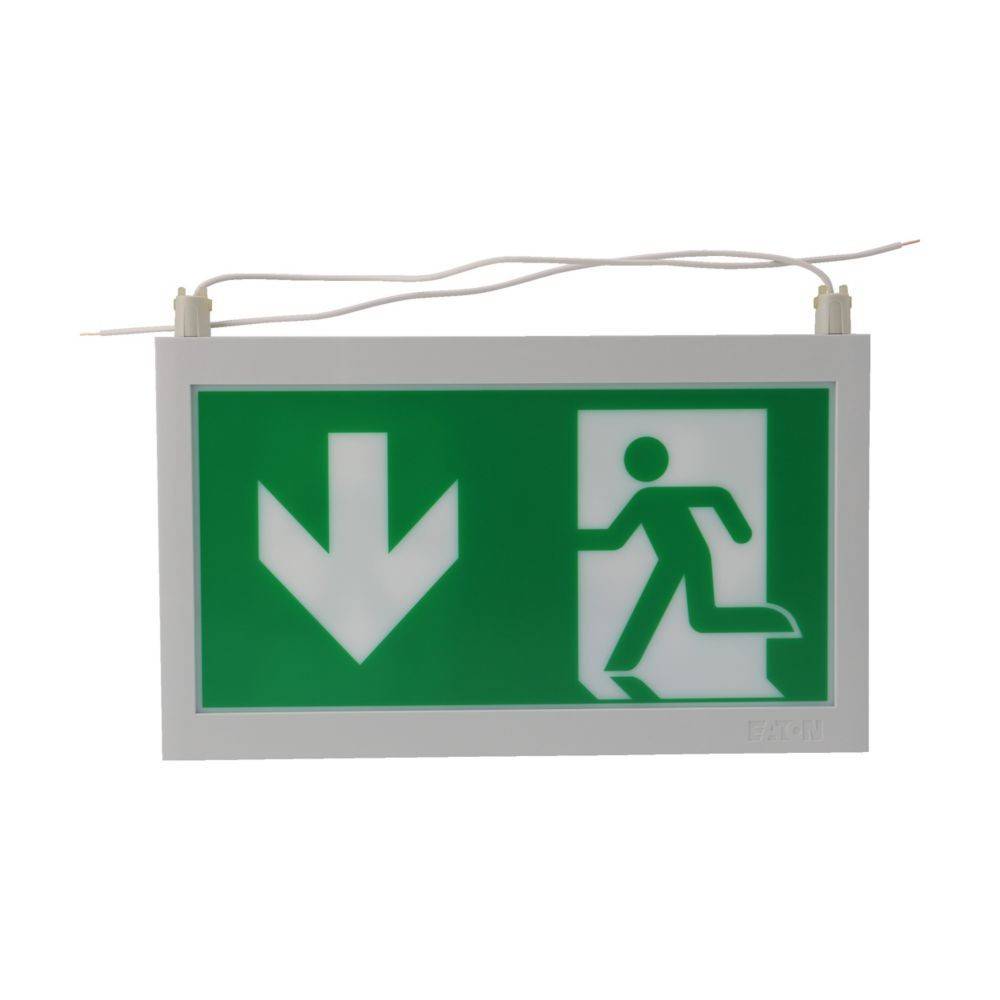 Ceag Notlichtsysteme Piktogrammscheibe 2-seitig 40071354504