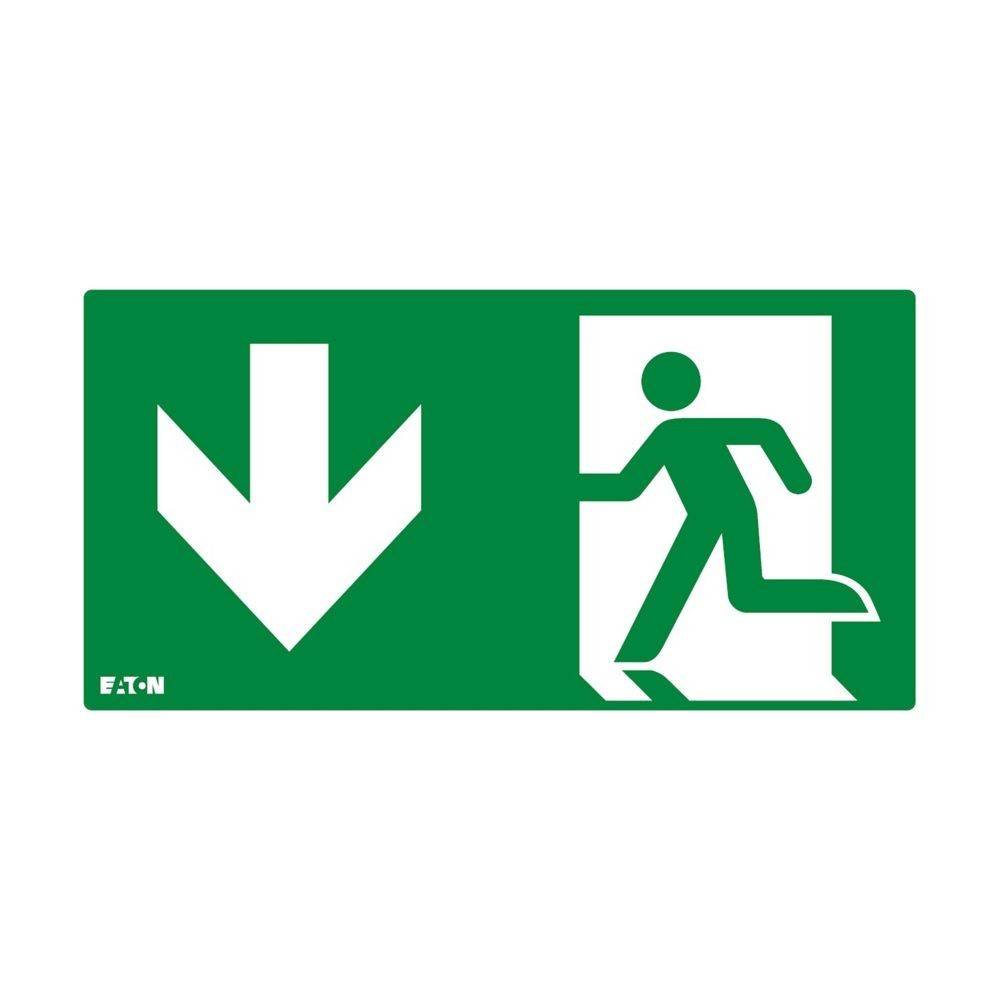 Ceag Notlichtsysteme Piktogramm f. Atlantic D 155-000-213