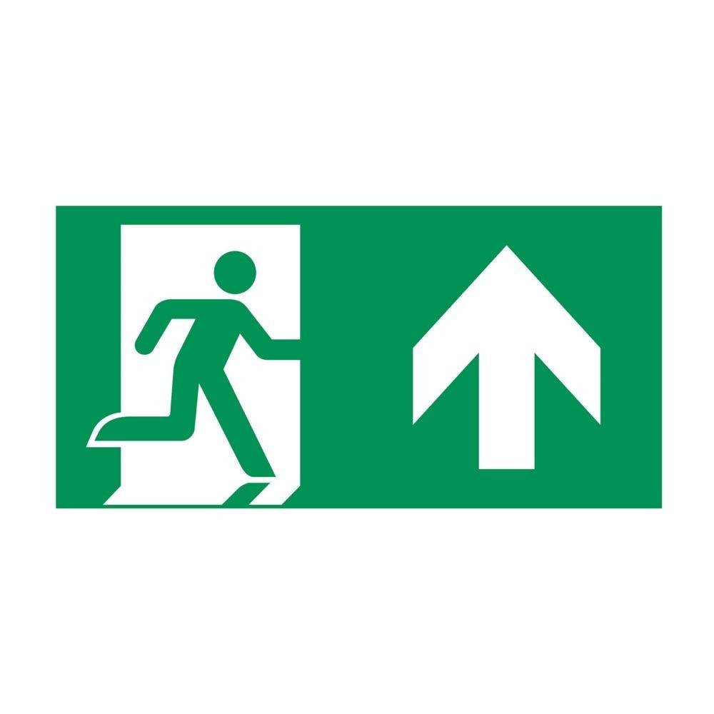 Ceag Notlichtsysteme Piktogrammscheibe PO 40071354138