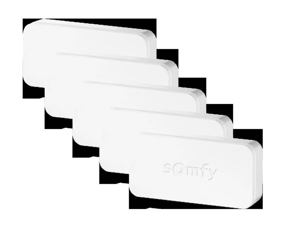 Somfy Funk-Sensor Set 2401488 (VE5)