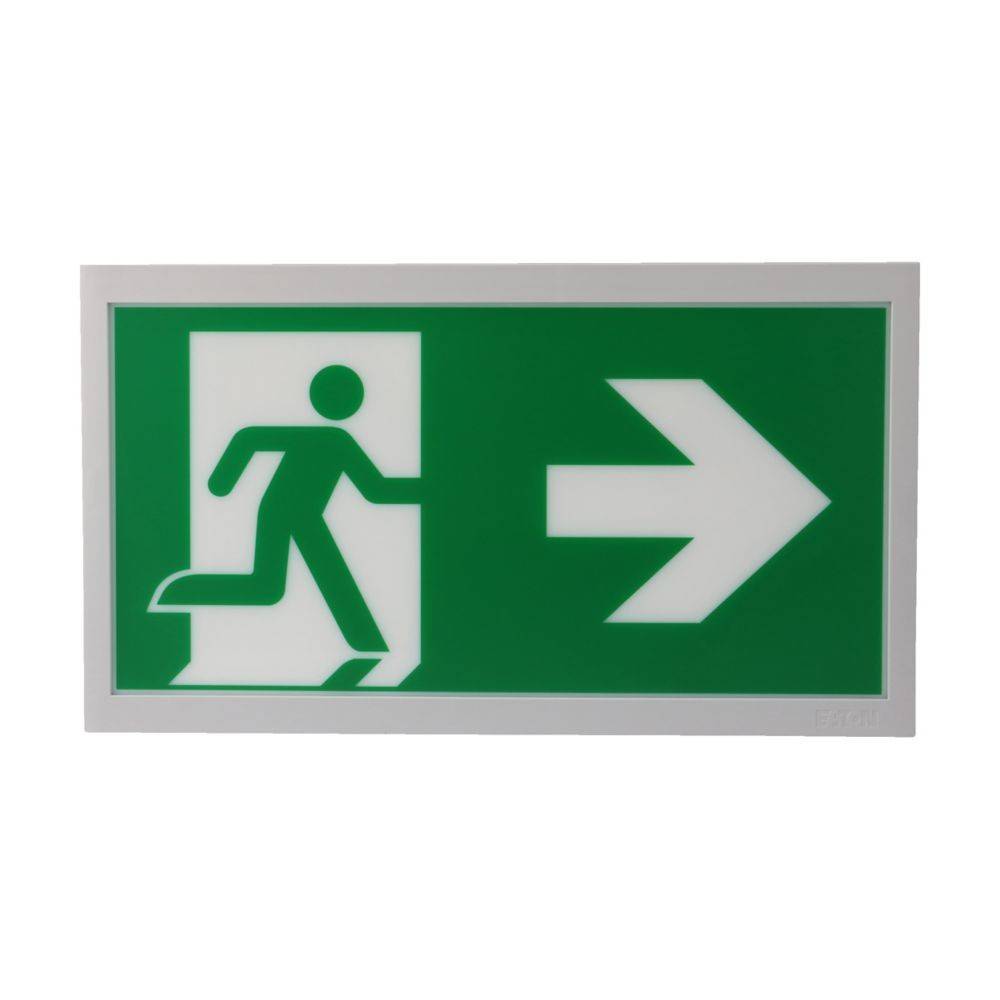 Ceag Notlichtsysteme Piktogrammscheibe 1-seitig 40071354531