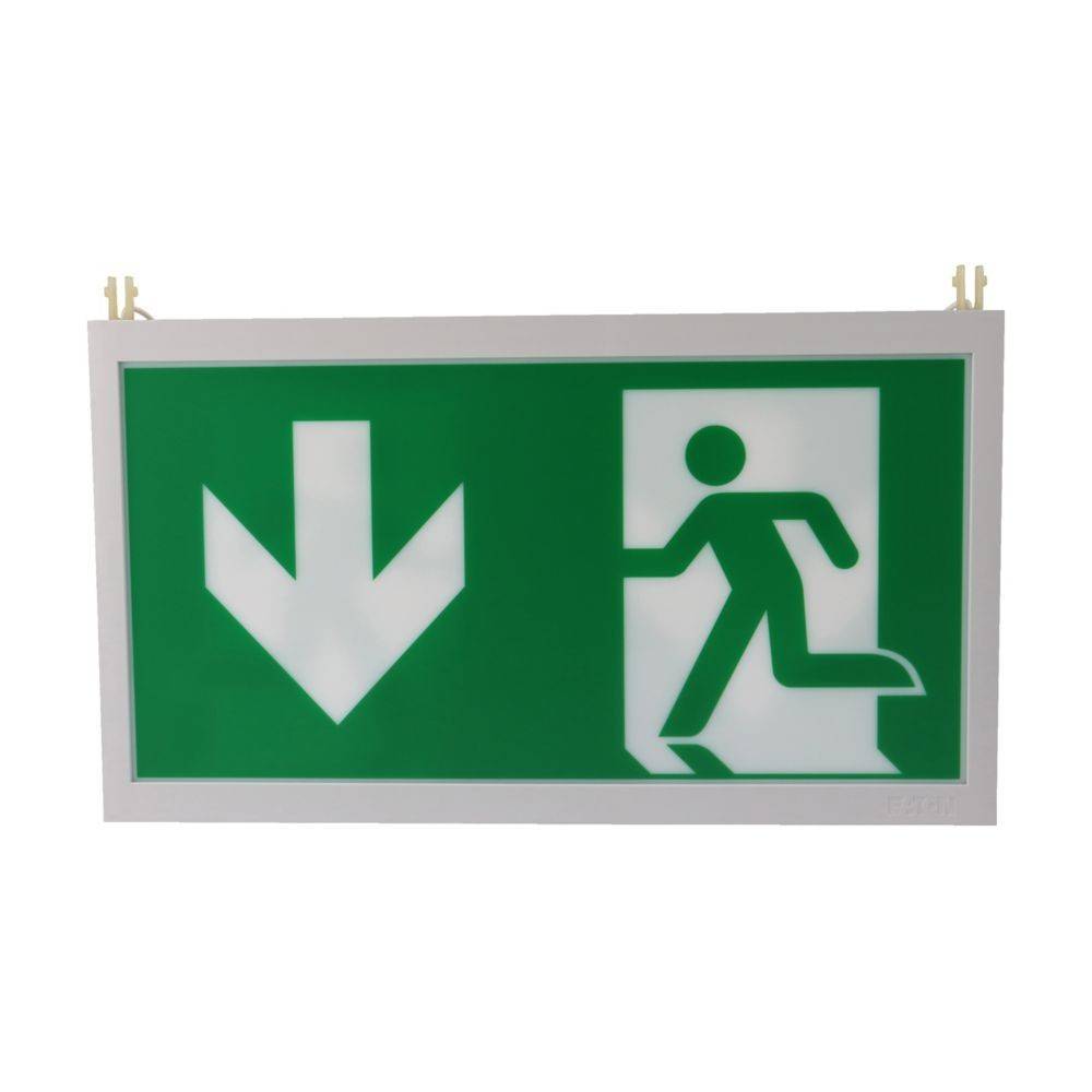 Ceag Notlichtsysteme Piktogrammscheibe 2-seitig 40071354534