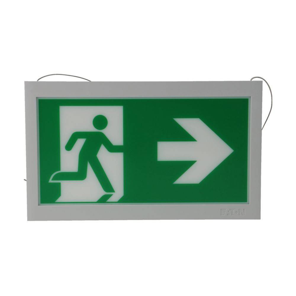 Ceag Notlichtsysteme Piktogrammscheibe 2-seitig 40071354513