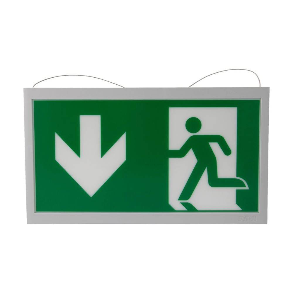 Ceag Notlichtsysteme Piktogrammscheibe 2-seitig 40071354544