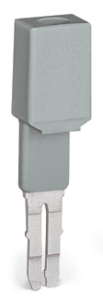 WAGO GmbH & Co. KG Prüfadapter 209-170