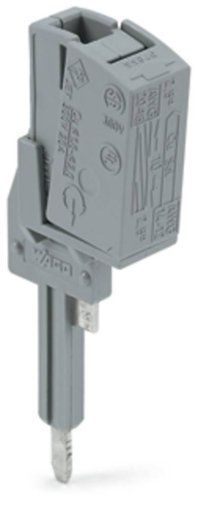 Ward' markiertes elektrisches Bauteil, das Schalter- und Spannungsdetails zeigt, auf einem grauen Rahmen montiert, höchstwahrscheinlich Teil einer elektrischen Anlage.