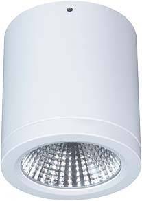 LTS Licht&Leuchten LED-Anbaudownlight BTNM 101.40.55 WS