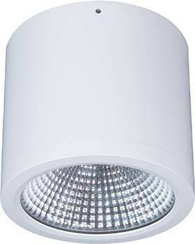 LTS Licht&Leuchten LED-Anbaudownlight BTNM 202.40.55 WS