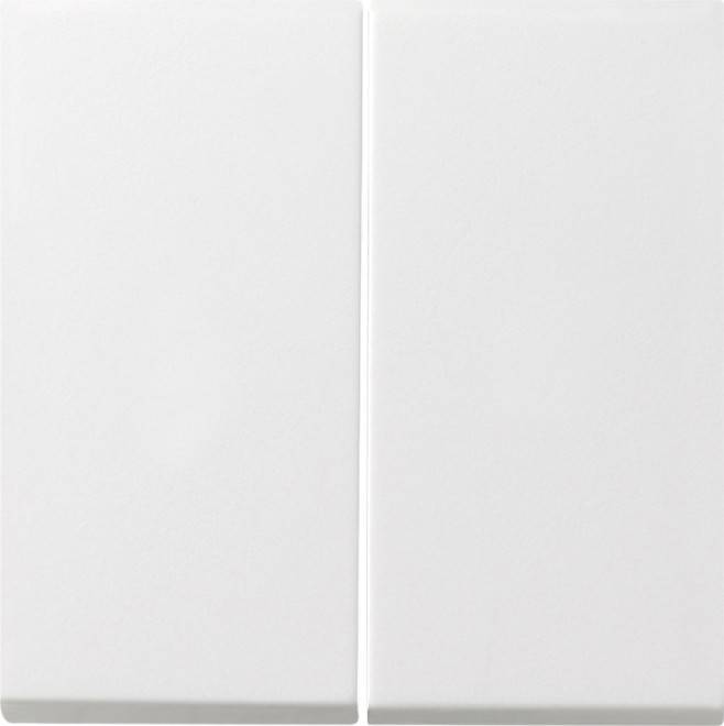 Gira Serienwippen Tastschalter 0915112