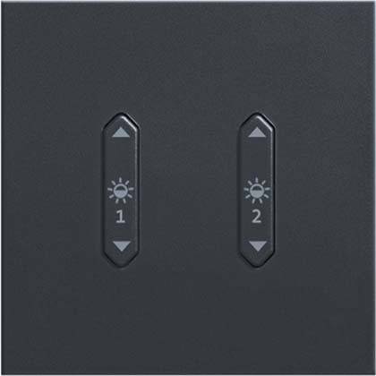 Zumtobel Group Wipptaster 2fach LM-RCB2 Li