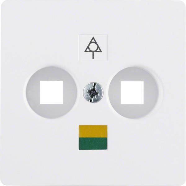 Berker Zentralplatte pws 14031909