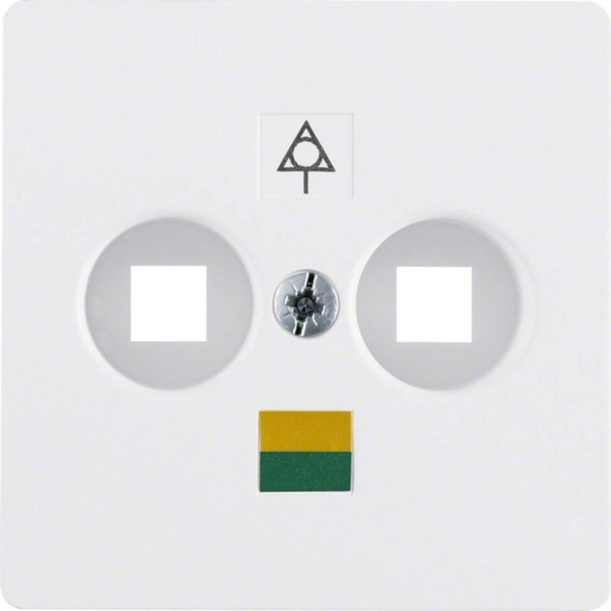 Berker Zentralplatte pws 14031909