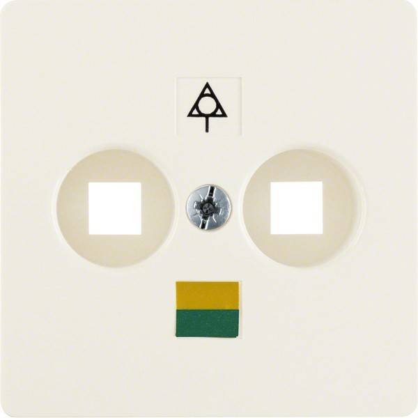 Berker Zentralplatte 140302