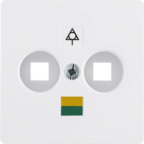 Berker Zentralplatte 140309