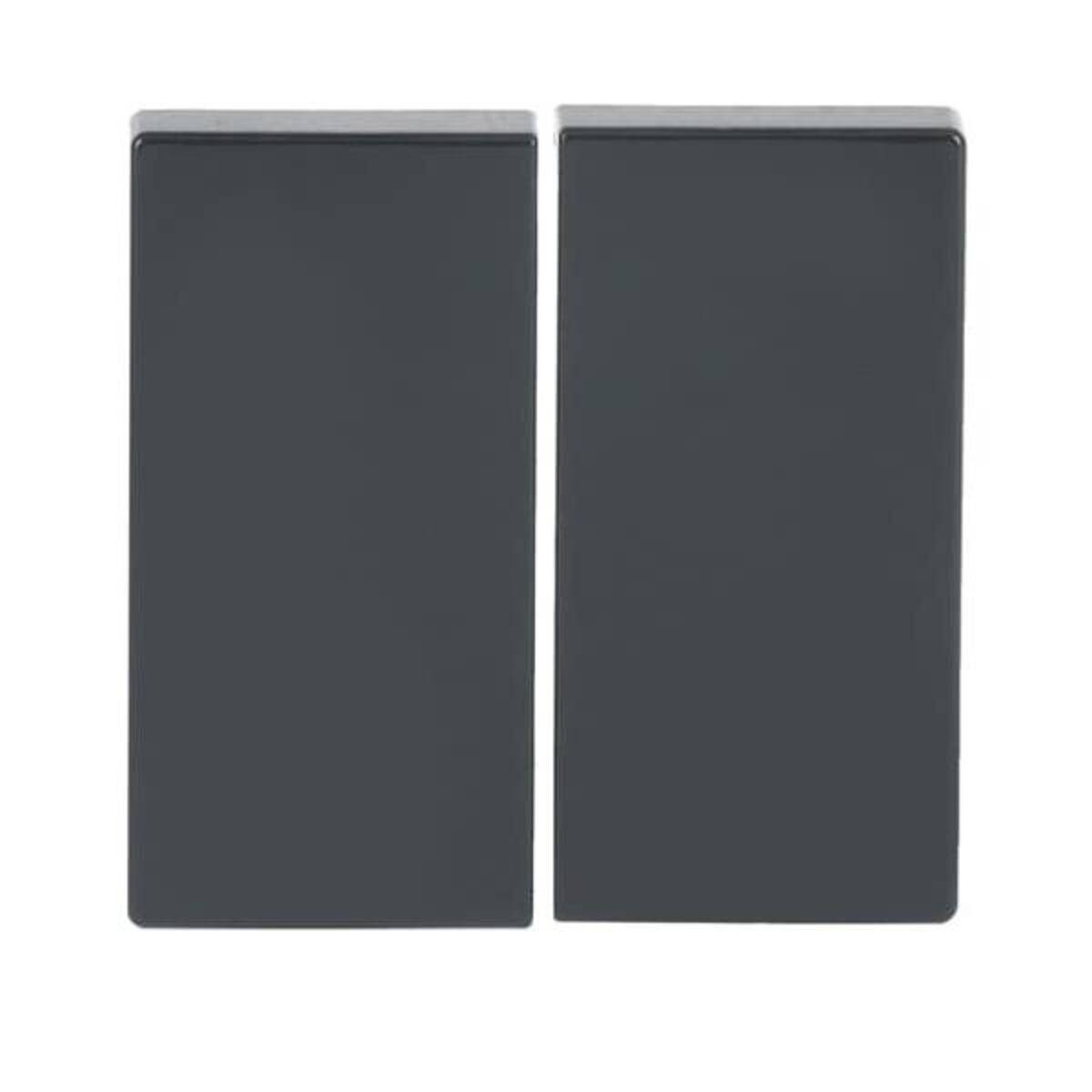 Busch-Jaeger Wippe anth 6736 FoH-81