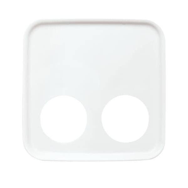 Busch-Jaeger Zentralscheibe aws 2548-020 D-214