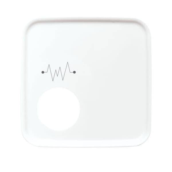 Busch-Jaeger Zentralscheibe aws 2548-020 F-214