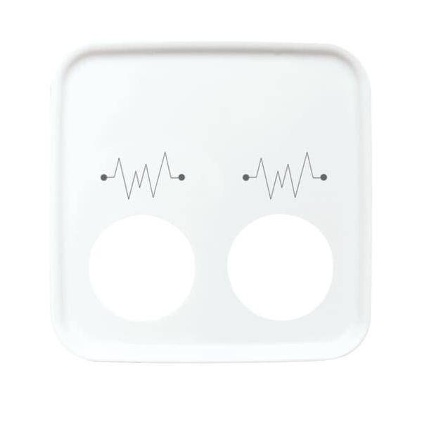 Busch-Jaeger Zentralscheibe aws 2548-021 G-214