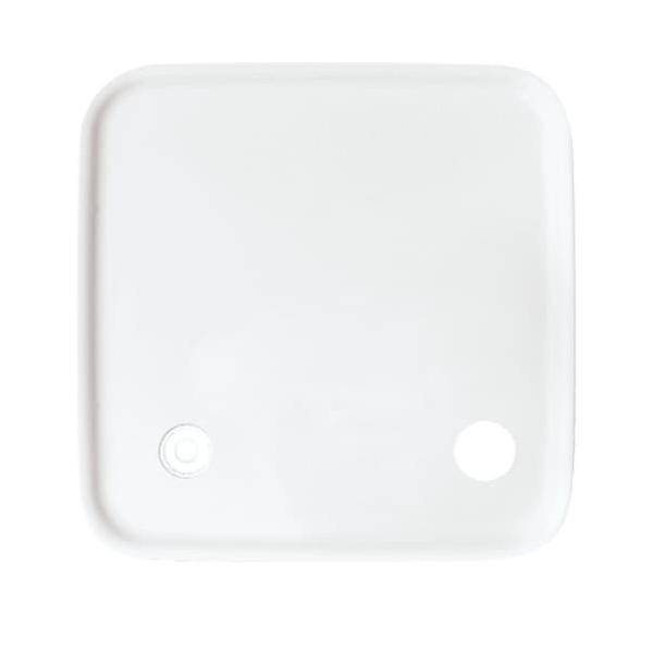 Busch-Jaeger Zentralscheibe aws 2548-046 A-214