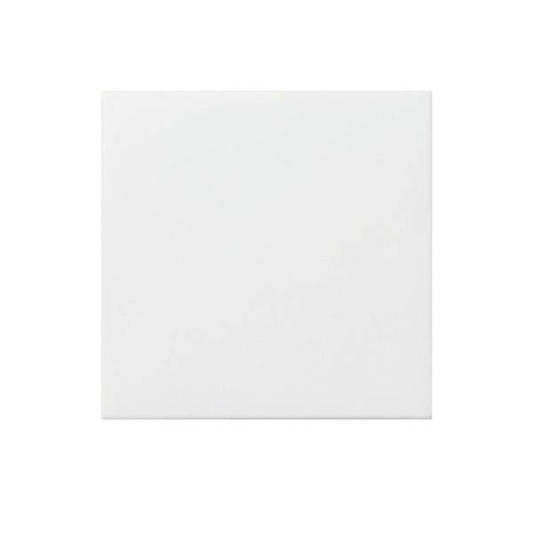 Gira Abdeckung f. Leereinheit 022527