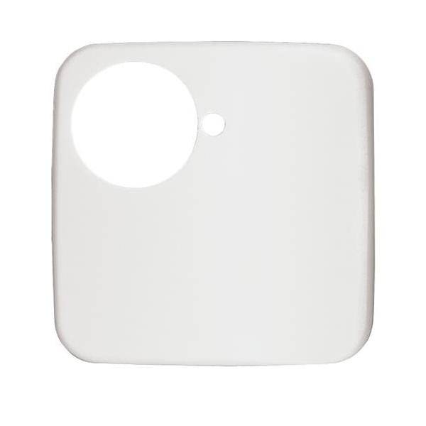 Busch-Jaeger Zentralscheibe aws 1790-581-214