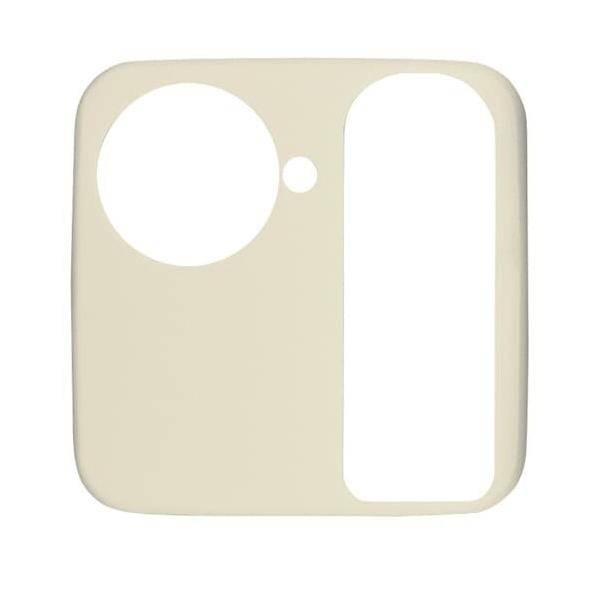 Busch-Jaeger Zentralscheibe ws 1790-584-212