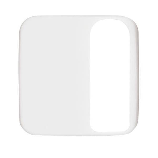 Busch-Jaeger Zentralscheibe aws 1790-585-214