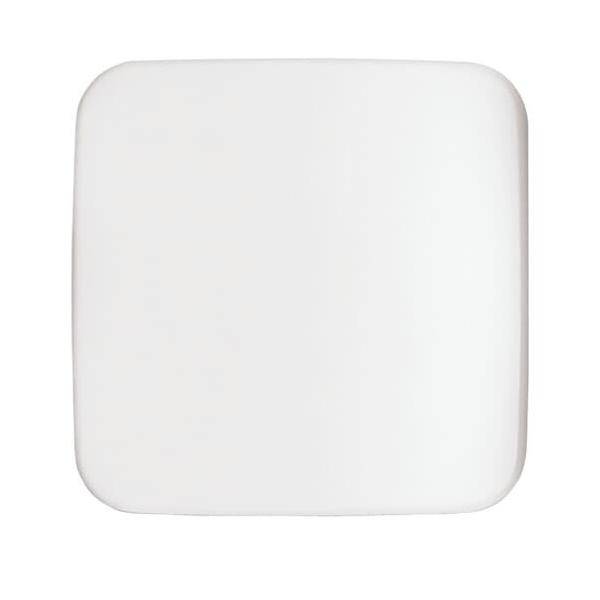 Busch-Jaeger Zentralscheibe aws 1790-580-214