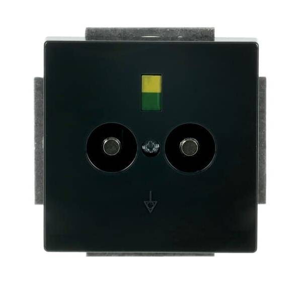 Busch-Jaeger Potentialausgleich anth 2095 UC-81