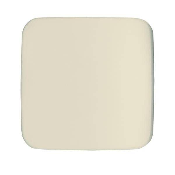 Busch-Jaeger Zentralscheibe ws 1790-580-212