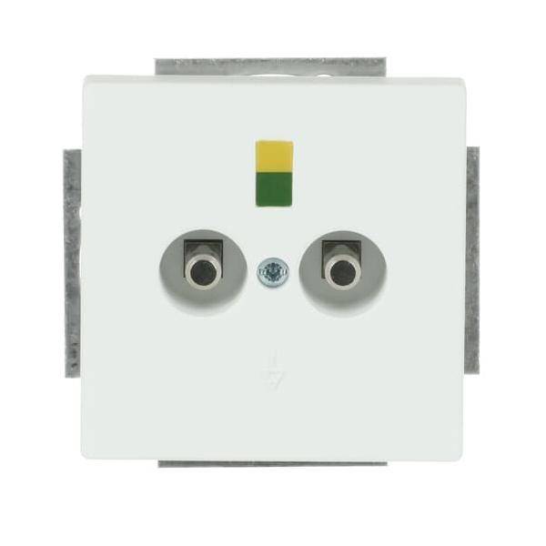 Busch-Jaeger Potential-Ausgleichsst. 2095 UC-884