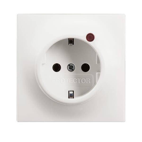 Busch-Jaeger Steckdosen-Einsatz 2310EUGL/VA-774-11