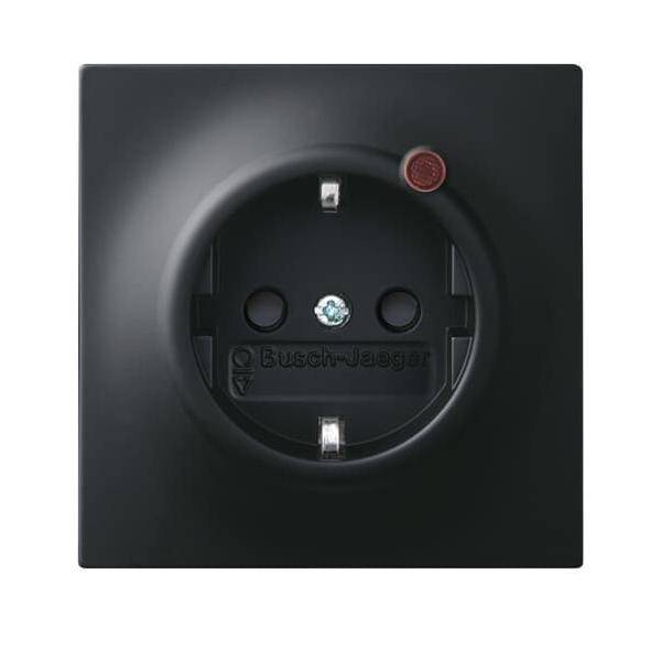 Busch-Jaeger Steckdosen-Einsatz 2310EUGL/VA-775-11