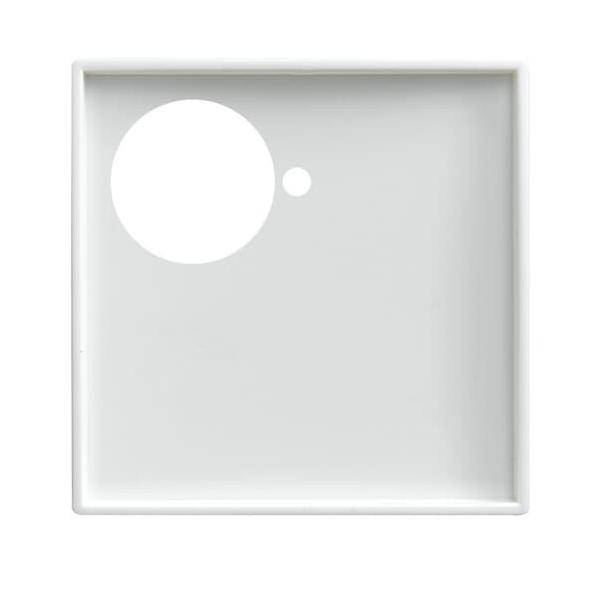 Busch-Jaeger Zentralscheibe alpinws 1790-591-914