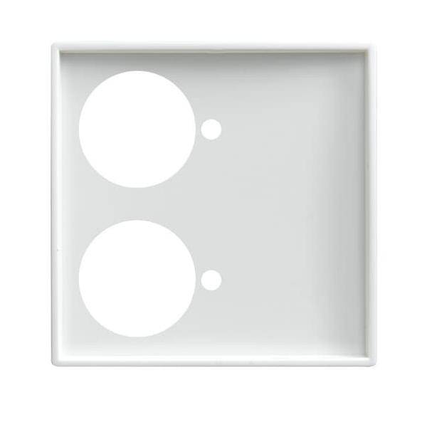 Busch-Jaeger Zentralscheibe alpinws 1790-592-914