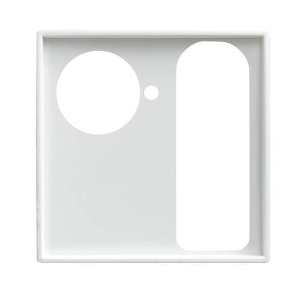 Busch-Jaeger Zentralscheibe alpinws 1790-594-914